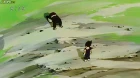 Dragon Ball Kai (2014) episodio 59