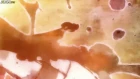 Barakamon episodio 10