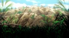 Sengoku Musou episodio 4