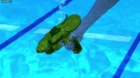 Nisekoi S2 episodio 9
