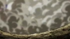 Dragon Ball Super episodio 130