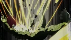 One Punch Man episodio 9
