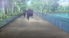 Active Raid: Kidou Kyoushuushitsu Dai Hachi Gakari 2nd episodio 9