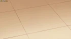 Watashi ga Motete Dousunda episodio 5