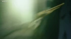 Saiyuuki Reload Blast episodio 6