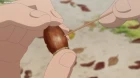 Konohana Kitan episodio 11