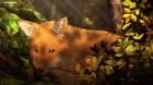 Kino no Tabi: The Beautiful World - The Animated Series episodio 10