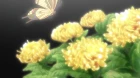 Nobunaga-sensei no Osanazuma episodio 10