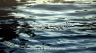 Sarazanmai episodio 7