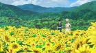 Dr. Stone episodio 11