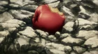 Vinland Saga episodio 24