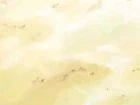 Love Hina episodio 15
