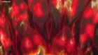 Tsuki ga Michibiku Isekai Douchuu episodio 10