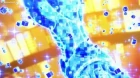 Digimon Ghost Game episodio 62