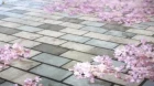 Lycoris Recoil episodio 13