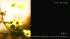 Samurai Champloo episodio 24