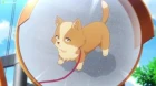 Inu ni Nattara Suki na Hito ni Hirowareta. episodio 2
