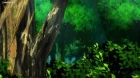 Isekai de Cheat Skill wo Te ni Shita Ore wa, Genjitsu Sekai wo mo Musou Suru: Level Up wa Jinsei wo Kaeta episodio 8