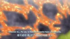 Wo de Tian Jie Nu You episodio 13