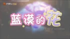 Lan Mo de Hua episodio 7