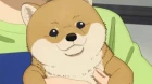 Sakamoto Days Part 2 episodio 1