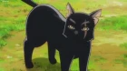 Neko to Ryuu episodio 4
