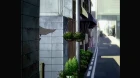 Suzumiya Haruhi no Yuuutsu episodio 1