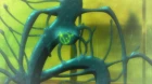 Dakara Boku wa, H ga Dekinai. episodio 4