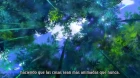 Dog Days' S2 episodio 4